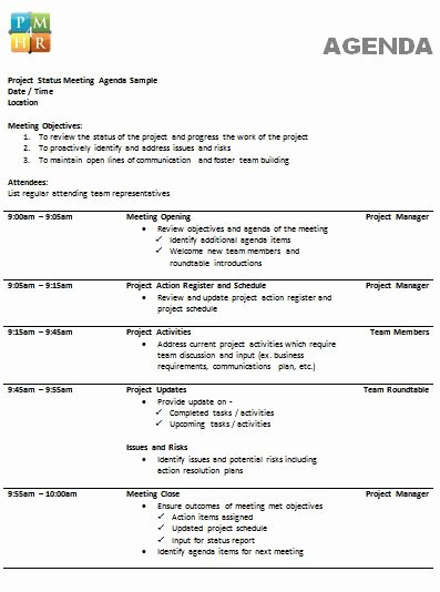 Project Status Meeting Template Inspirational 205 Professional Meeting Agenda Templates Demplates