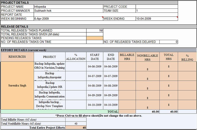 Project Status Report Template Excel Awesome 6 Status Report Templates Free Word Pdf Excel formats