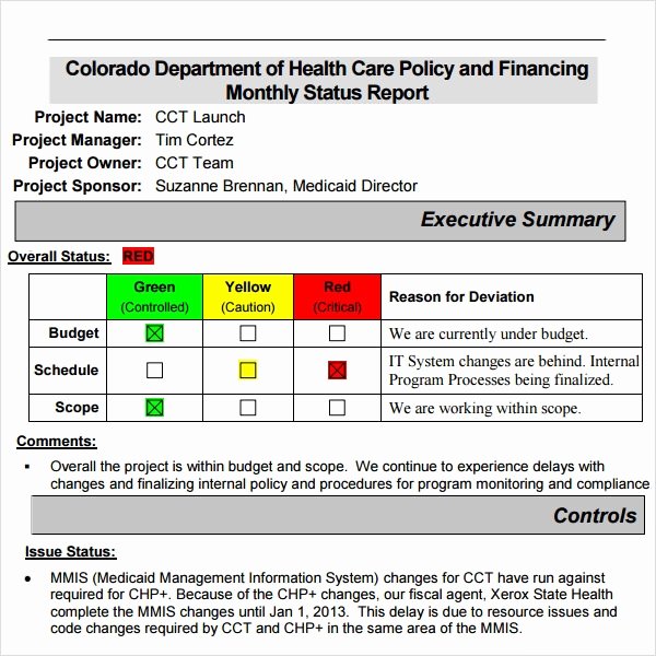 Project Status Report Template Excel Awesome Project Status Report Template 14 Download Free