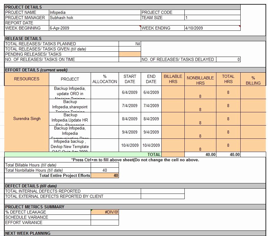 Project Status Report Template Excel Best Of Status Report Template Writing Word Excel format