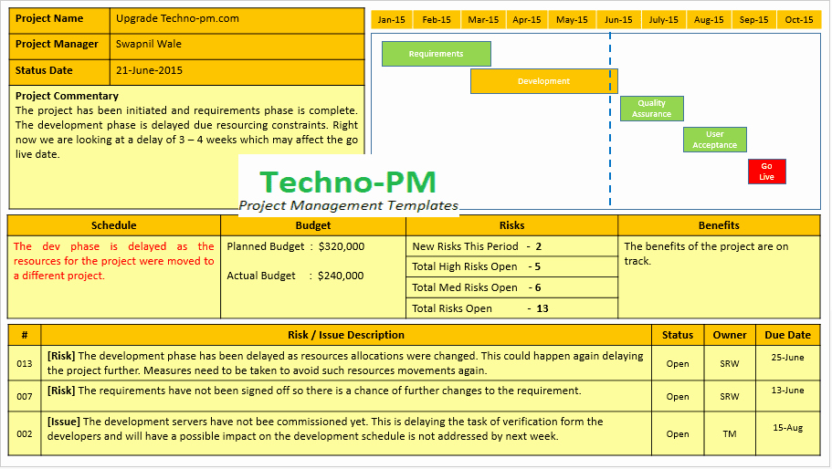 Project Status Report Template Excel Elegant Project Status Report Template 10 Download Project