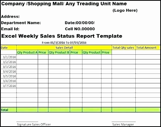 Project Status Report Template Excel New Project Management Status Report Template Excel – Status