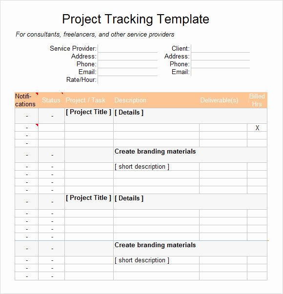 Project Status Template Excel Elegant 7 Excel Tracking Samples