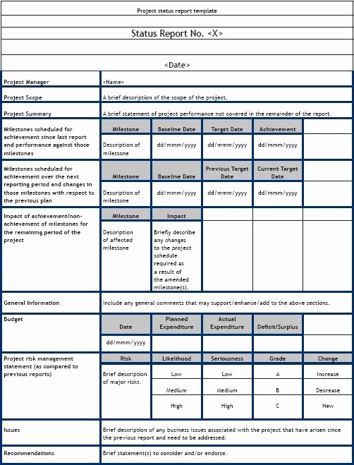 Project Status Update Email Sample Beautiful 8 Best Project Status Report Template Images On Pinterest