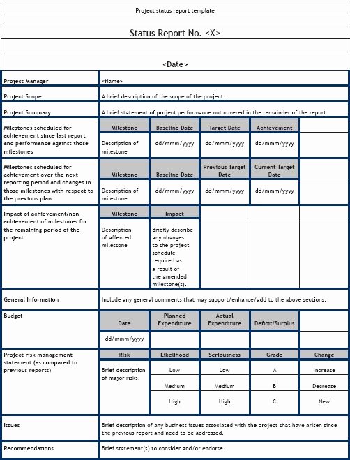 Project Status Update Email Sample Beautiful 8 Best Project Status Report Template Images On Pinterest