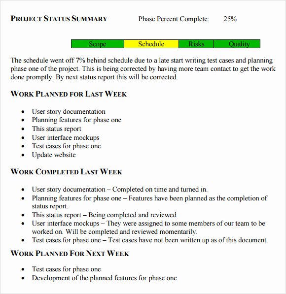 Project Status Update Email Sample Fresh Sample Status Report 10 Example format