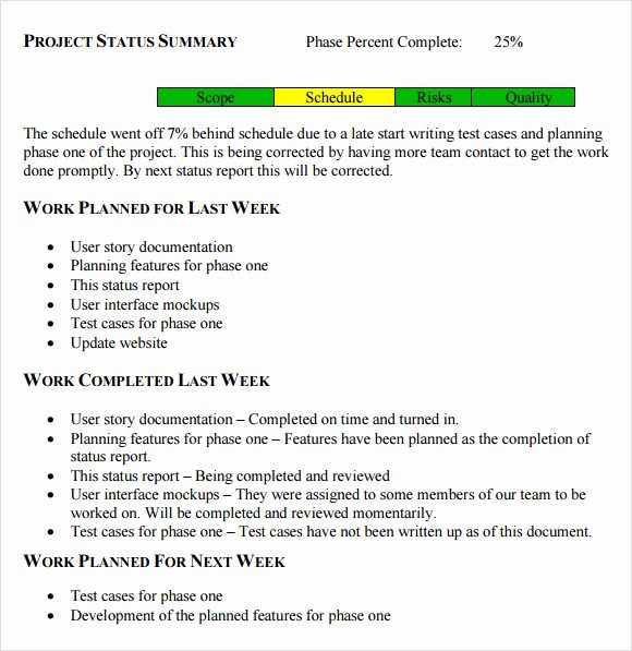 Project Status Update Email Sample Fresh Sample Status Report 10 Example format