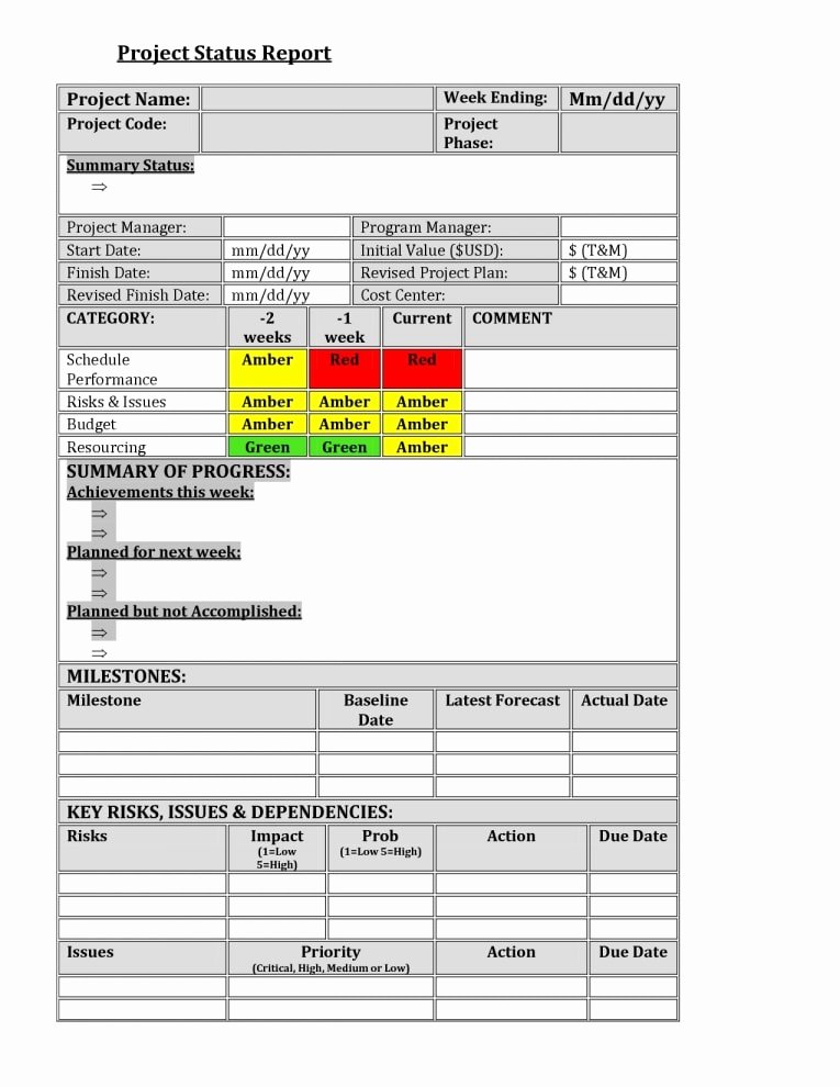 Project Status Update Email Sample Inspirational 11 Project Status Report Examples Pdf