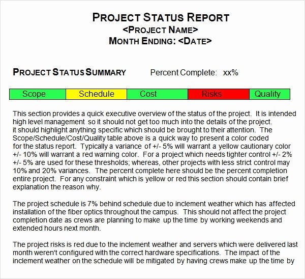 Project Status Update Email Sample Unique Project Status Report Template 14 Download Free