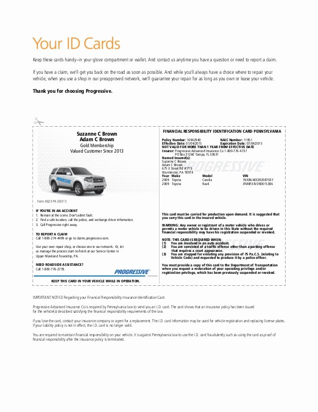 Proof Of Auto Insurance Template Free Inspirational Pgr Insurance Idcard