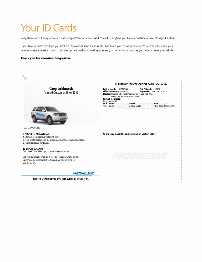 Proof Of Car Insurance Template Awesome Pgr Insurance Idcard 1