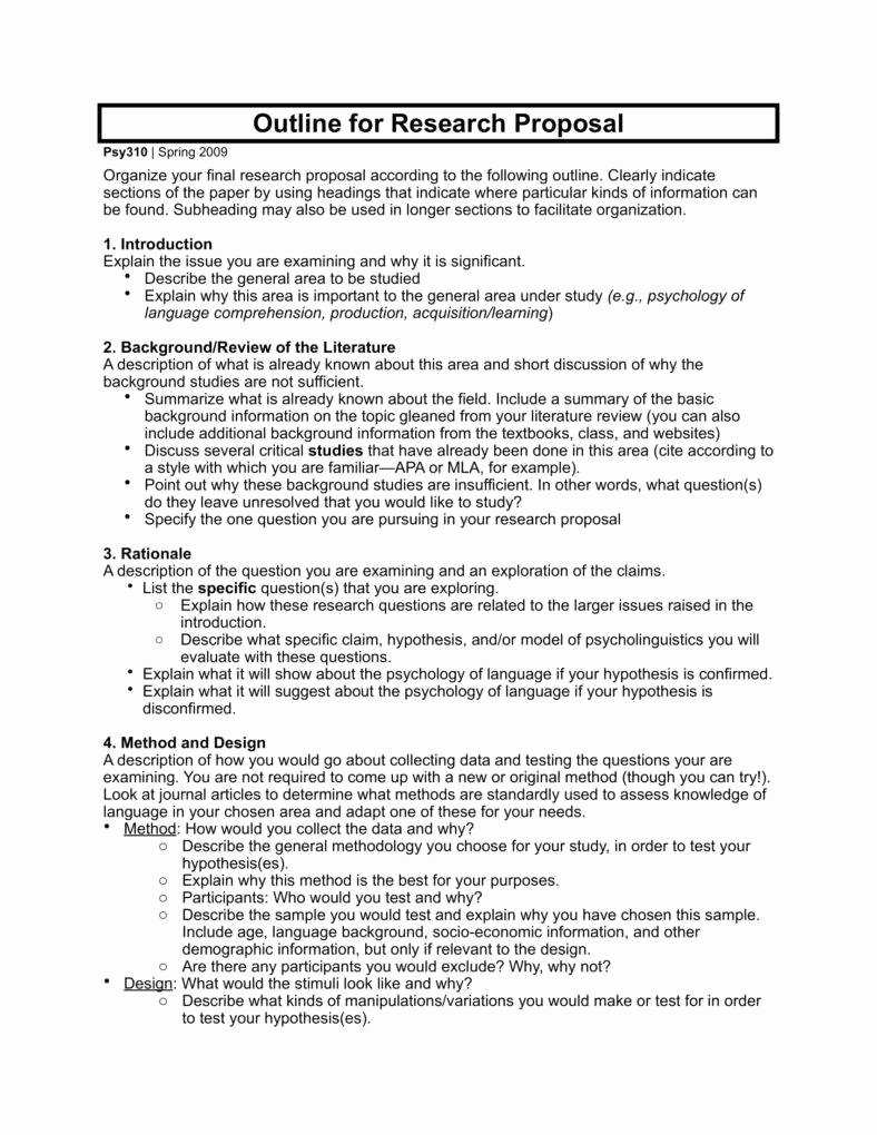 Proposal Outline Example Awesome Importance Of Having A Research Paper Outline Pdf
