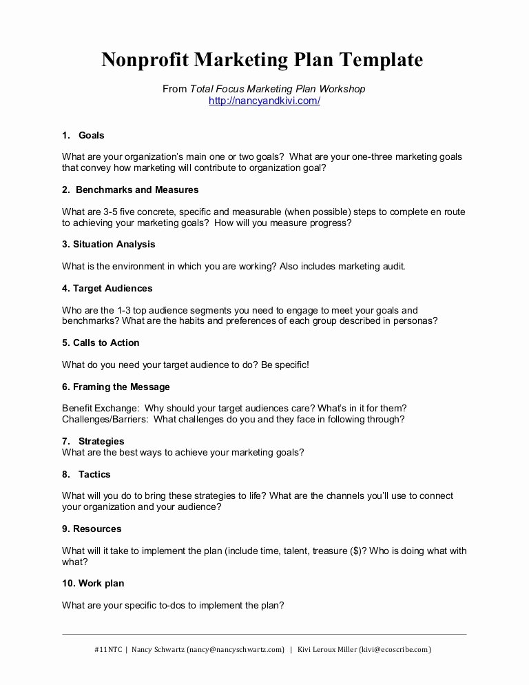 Proposal Outline Template Elegant Nonprofit Marketing Plan Template Summary