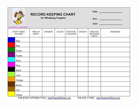 Puppy Record Template Lovely Record Keeping Charts for Breeders Whelping Details