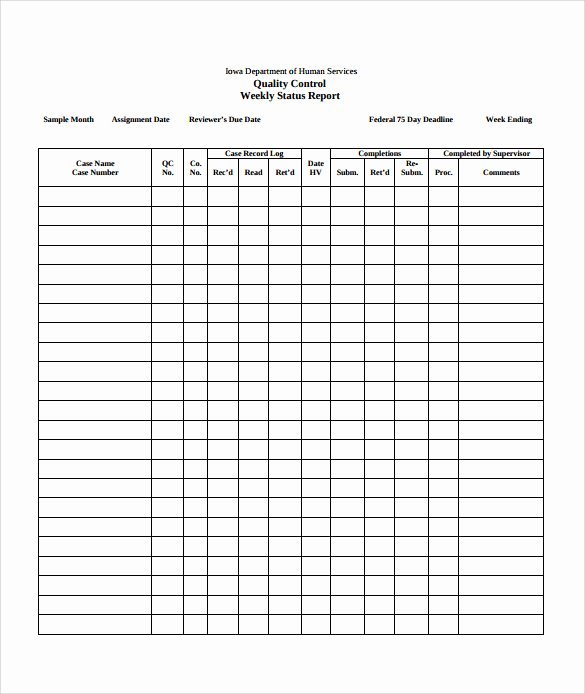 Quality Control Template Excel Awesome 16 Sample Weekly Status Report Templates Pdf Word