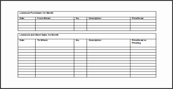 Quarterly Report Template Excel Luxury 8 Marketing Report Template Free Cost