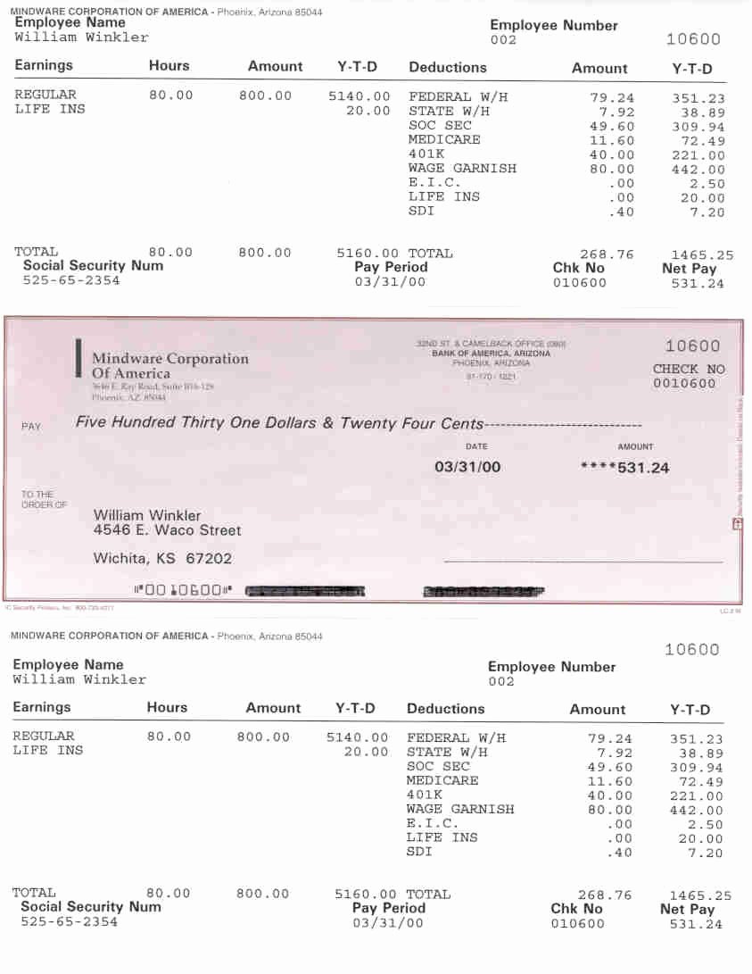 Quickbooks Pay Stub Template Awesome Quickbooks Paycheck Stubs Idealstalist