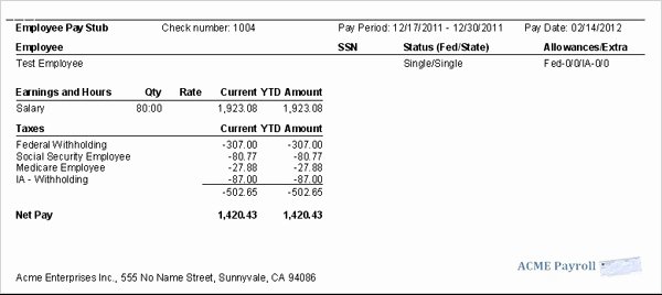 Quickbooks Pay Stub Template New 9 Printable Paycheck Stubs