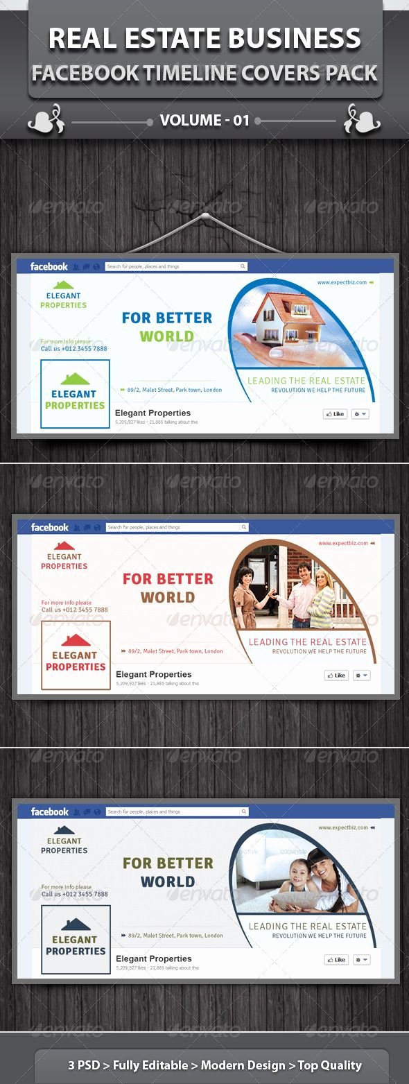 Real Estate Timeline Template Awesome Real Estate Business Fb Timeline Volume 2