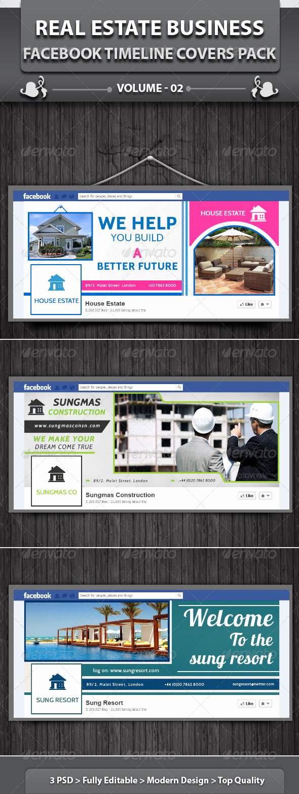 Real Estate Timeline Template Unique Real Estate Business Fb Timeline Volume 1