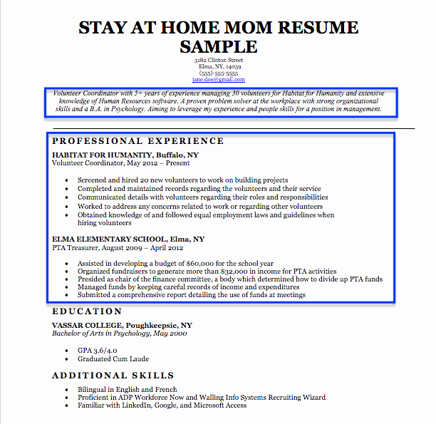 Reentering the Workforce Resume Examples New Stay at Home Mom Resume Sample &amp; Writing Tips