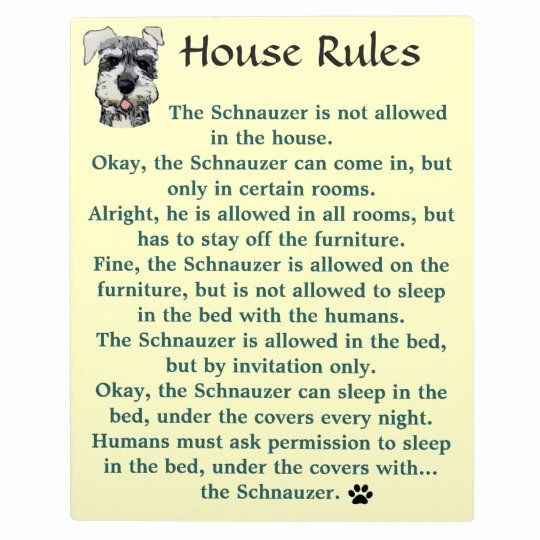 Rent House Rules Awesome House Rules for Schnauzers Plaque