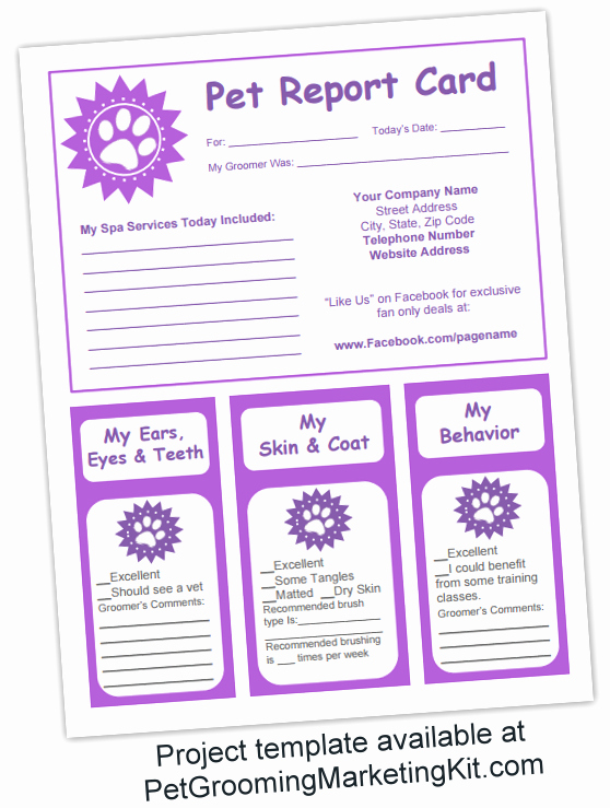 Report Card Templates Free New Dog Grooming Business Templates