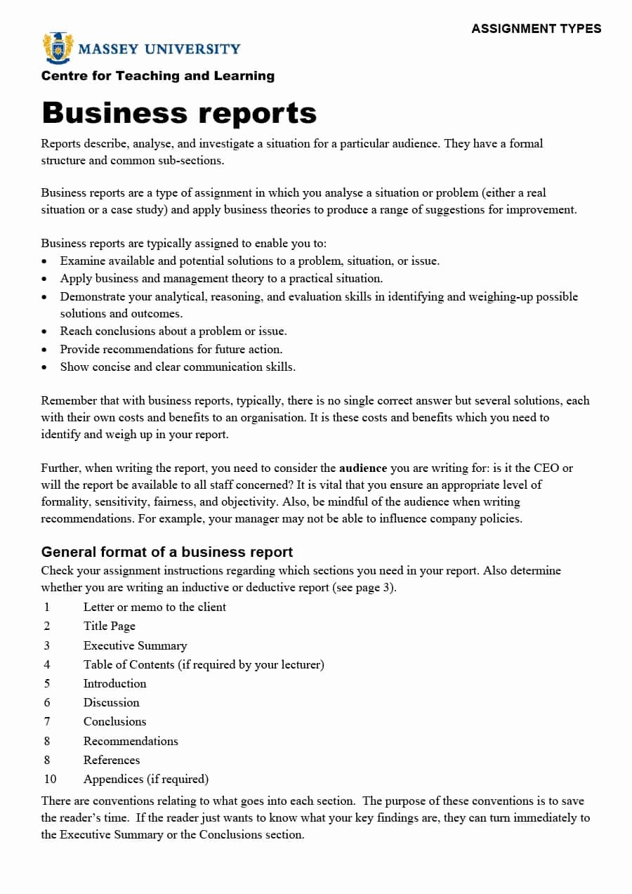 Report Writing Template Beautiful 30 Business Report Templates &amp; format Examples Template Lab