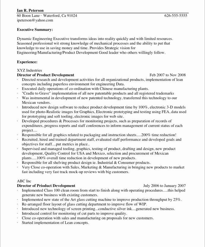 Resume In Paragraph form Luxury Chief Technology Ficer Free Resume Samples