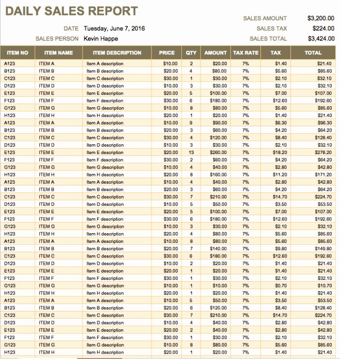 Retail Store Daily Checklist Elegant Agile Daily Status Report Template Templates Resume