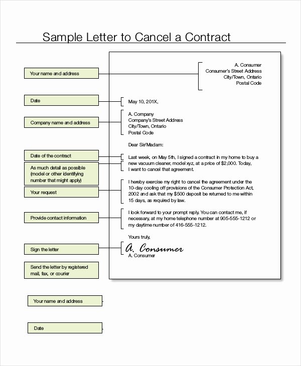 Return Policy Template Word Luxury 7 Cancellation Letter Templates Pdf Doc