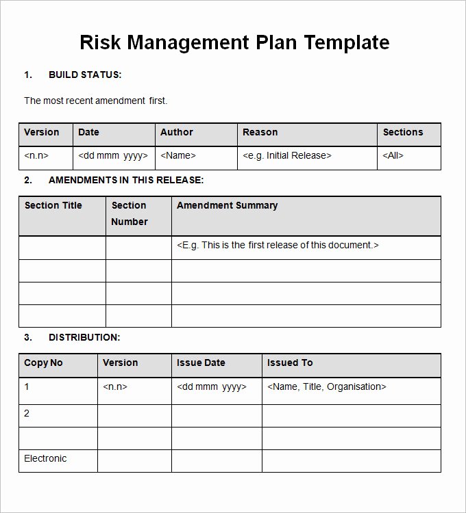 Risk Management Plan Template Doc Elegant Importance Of Having A Risk Management Plan