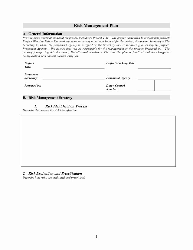 Risk Management Plan Template Doc Elegant Risk Management Plan Template 1 2