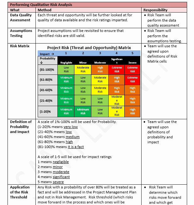 Risk Management Plan Template Doc Fresh Risk Management Plan Template