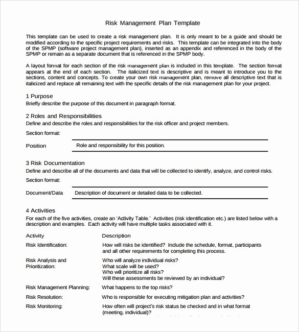 Risk Management Plan Template Doc Fresh Sample Strategic Plan Template 25 Free Documents In Pdf