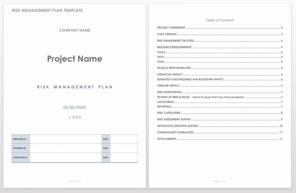 Risk Management Plan Template Doc Luxury Free Risk Management Plan Templates