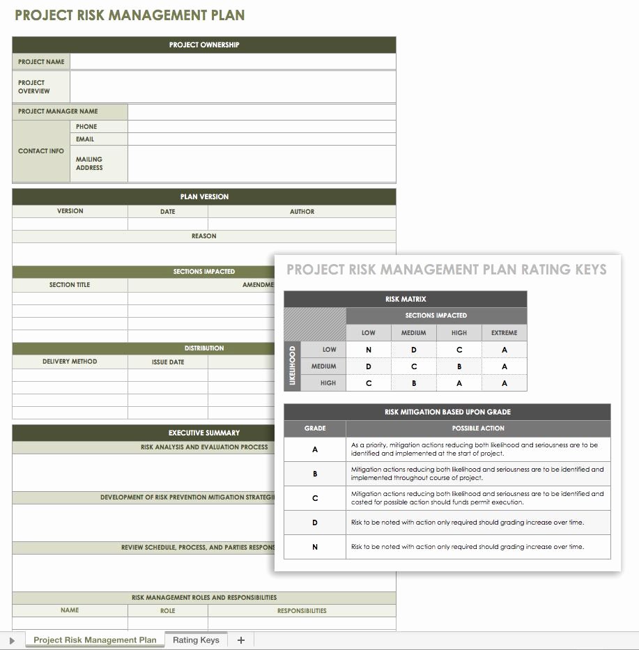 Risk Management Plan Template Doc Luxury Free Risk Management Plan Templates