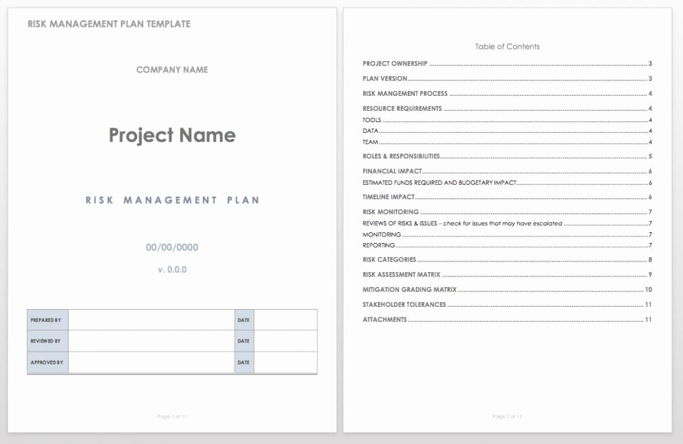Risk Management Strategy Template Best Of Free Risk Management Plan Templates