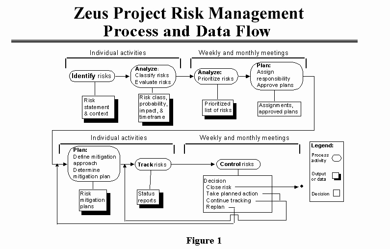 Risk Management Strategy Template Best Of Risk Management Plan for Project Zeus