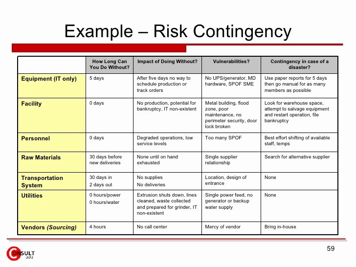 Risk Management Strategy Template Lovely Risk Management Plan Example – Emmamcintyrephotography