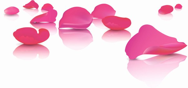 Rose Petal Svg Awesome Petal Clip Art Vector &amp; Illustrations istock