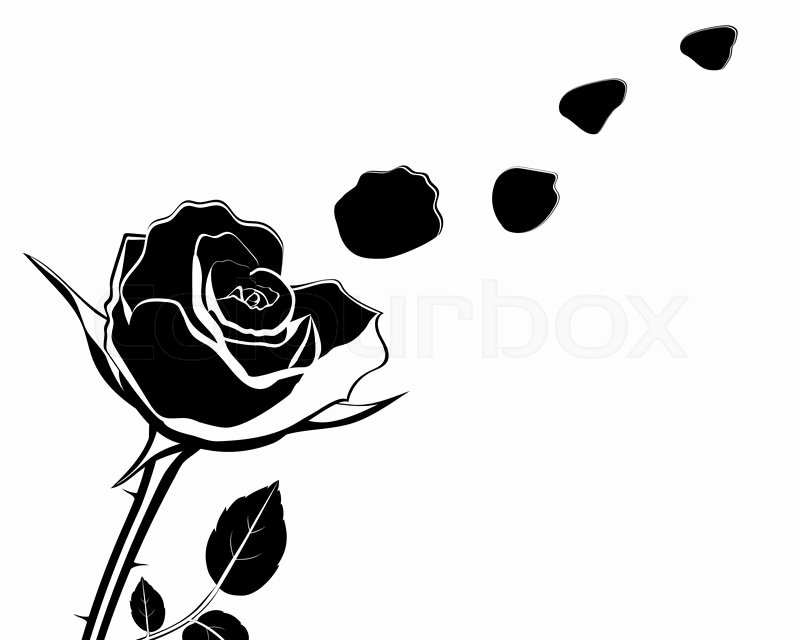 Rose Petal Svg Awesome Silhouette Of the Flower with Rose