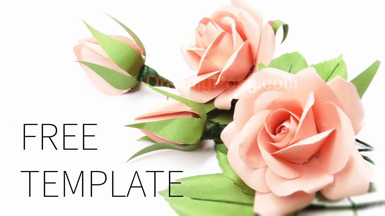 Rose Template Printable Luxury Easy to Make Best Paper Rose with Free Template and Tutorial