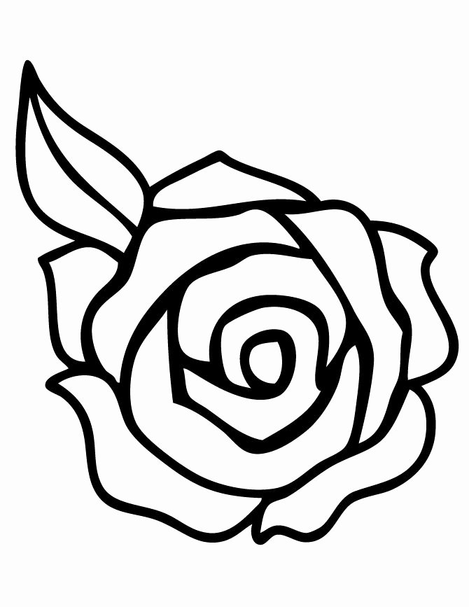 Rose Template Printable New Rose Template Printable Clipart Best