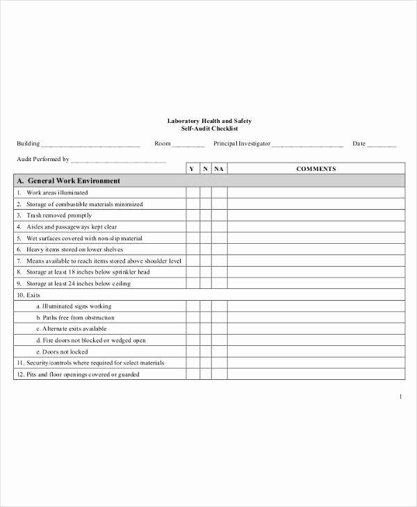 Safety Audit Report Sample Luxury 10 Laboratory Audit Report Templates Pdf Doc