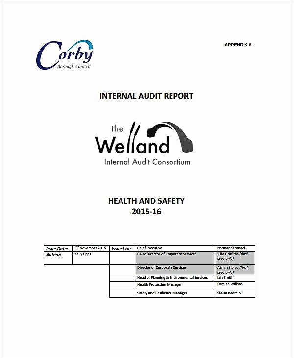 Safety Audit Report Sample Luxury 10 Safety Audit Report Templates Pdf