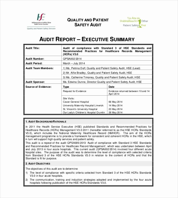 Safety Audit Report Sample Luxury Summary Report Templates 10 Free Pdf Apple Pages