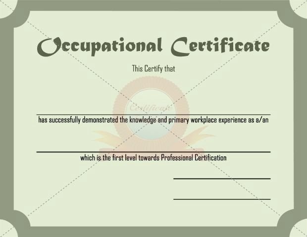 Safety Training Certificate Template Best Of Health Certification Template Reasons why Health Ibrizz