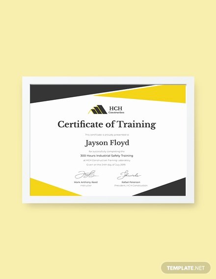 Safety Training Certificate Template Elegant Free Industrial Training Certificate Template Download