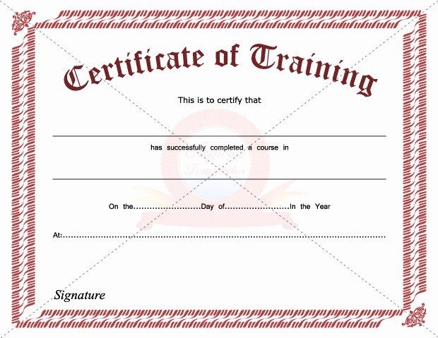 Safety Training Certificate Template Elegant Training Certification Template Bire1andwap